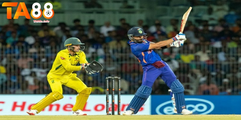 Cricket là gì? - Bật mí những cách chơi dễ thắng nhất 3 Rèn kỹ năng bắt bóng