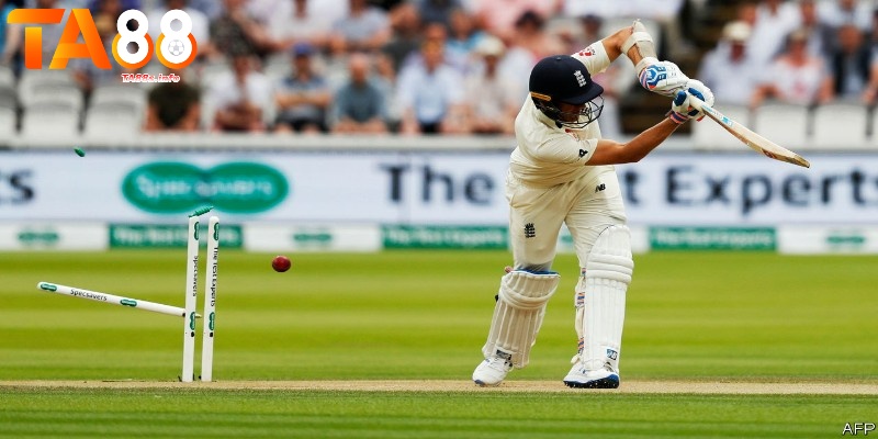 Cricket là gì? - Bật mí những cách chơi dễ thắng nhất 1 Cricket là gì? Luật chơi đơn giản