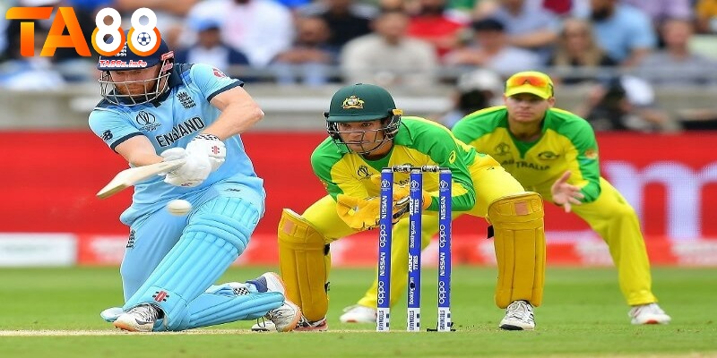 Cricket là gì? - Bật mí những cách chơi dễ thắng nhất 2 Nắm vững cách đánh cricket