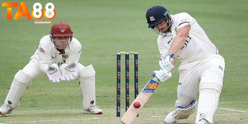 Cricket là gì? - Bật mí những cách chơi dễ thắng nhất 6 Những thuật ngữ cần nhớ khi chơi Cricket